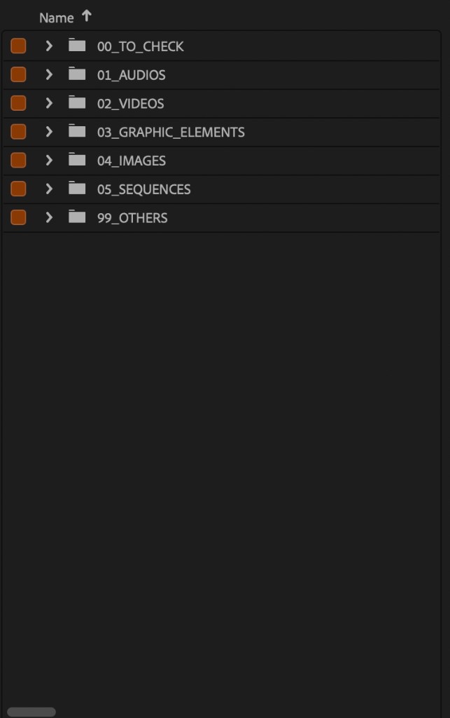 Same bin, audio first: 01_AUDIOS then 02_VIDEOS. 00_TO_CHECK and 99_OTHERS still bracket the tree.