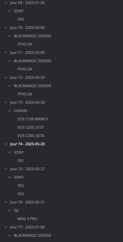 DaVinci Resolve Media Pool: shoot day then brand then model (e.g. Jour 74 → Sony FX3 / FX2, Canon C200 serials, DJI).